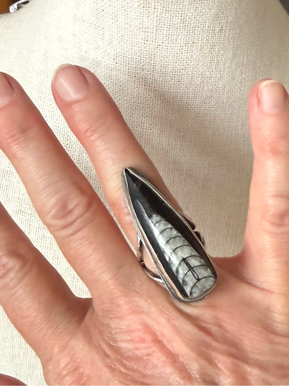 Silver and Orthoceraa Fossil Ring, Size US 6